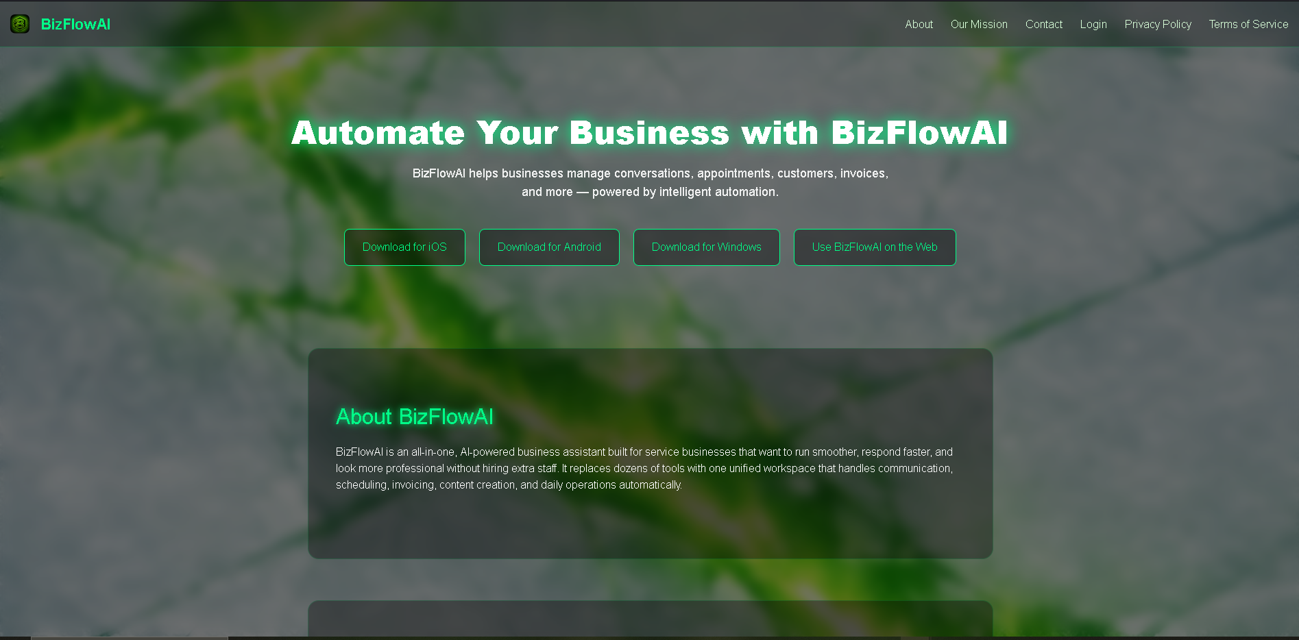 Bizflowai Website Thumbnail